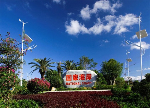 张成荣电烤鸡架