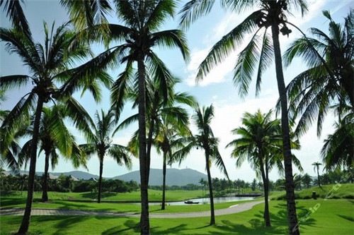 终极味道排骨饭