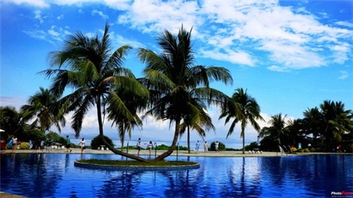 吉咕力韩式炸鸡