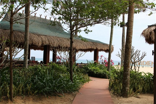 娄底coco奶茶店在哪里，娄底新加坡奶茶店在哪儿