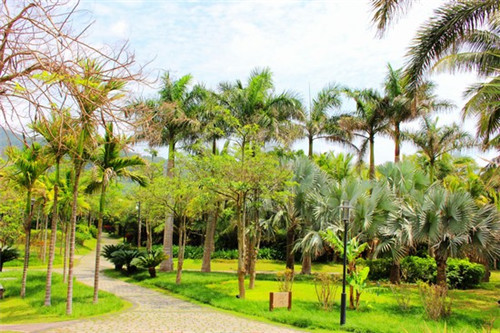 如何在田阳县经营一家酱骨饭加盟店，在田阳县加盟王记酱骨头馆有前途吗