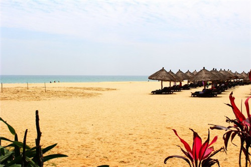 灵芝十大功效是什么作用（灵芝有哪些功效和作用）