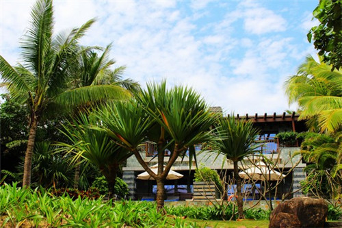 紫禁城茶叶品牌介绍（紫禁城600年茶叶）